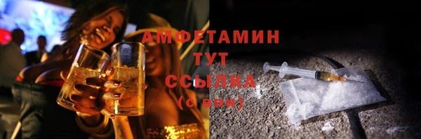 соль ск Богданович