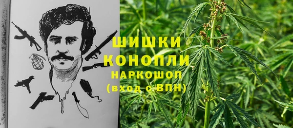 соль ск Богданович
