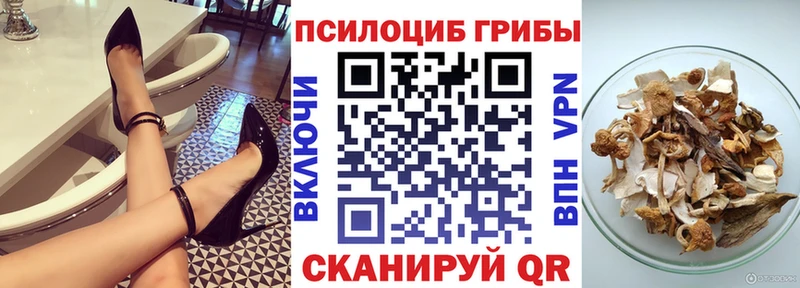 Псилоцибиновые грибы Cubensis  mega онион  Приволжский 